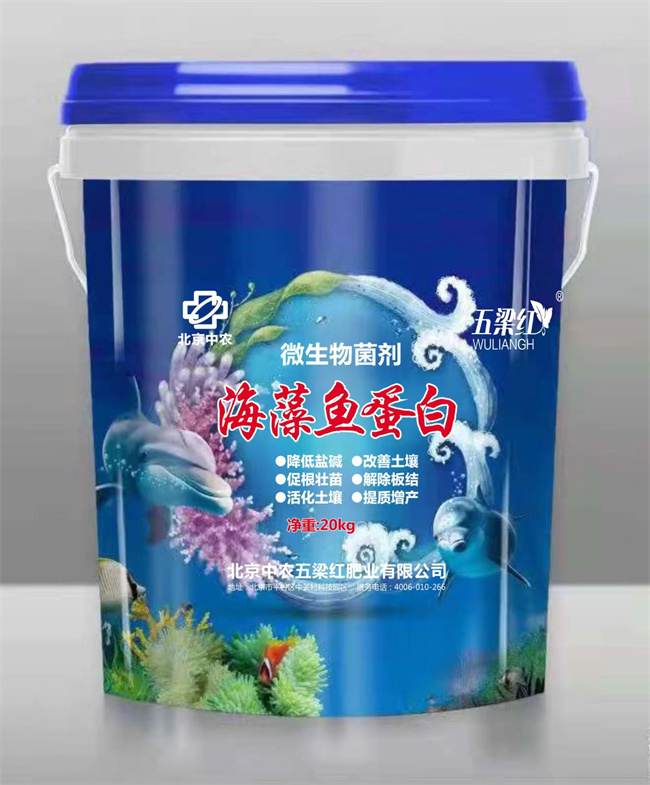 海藻魚(yú)蛋白